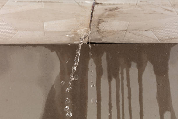 Professional Water Damage Repair technician working in Thornton, TX